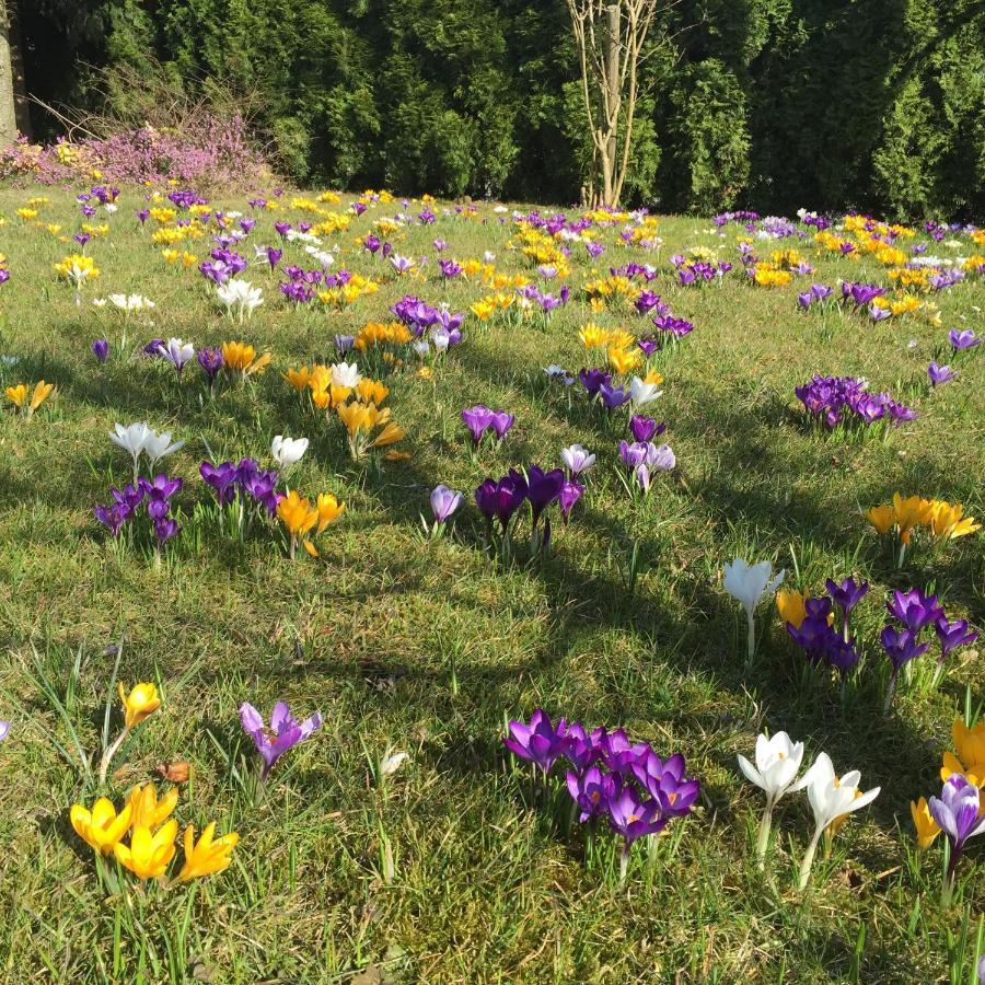 Ferienwohnungen Am Feldrain - Gornau Im Erzgebirge Zschopau Zewnętrze zdjęcie